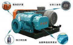 三葉羅茨鼓風(fēng)機(jī)產(chǎn)生振動(dòng)，發(fā)熱，異音的主要原因是什么